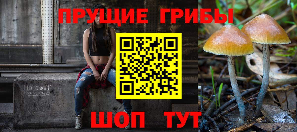 Галлюциногенные грибы Psilocybe  Галлюциногенные грибы GOLDEN TEACHER  Вход с VPN  Ижевск 